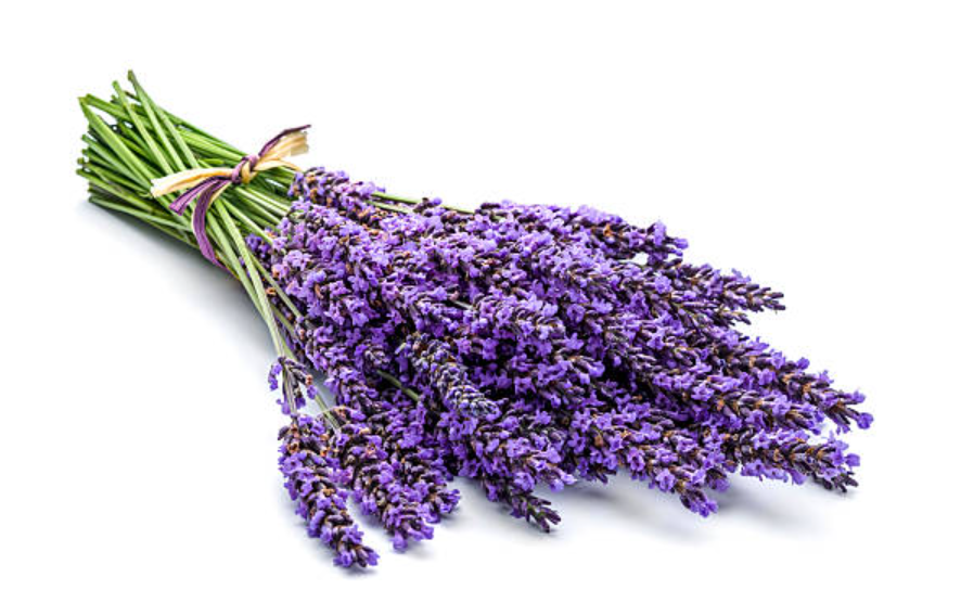 Lavande